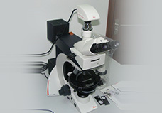 德国高精度偏光显微镜